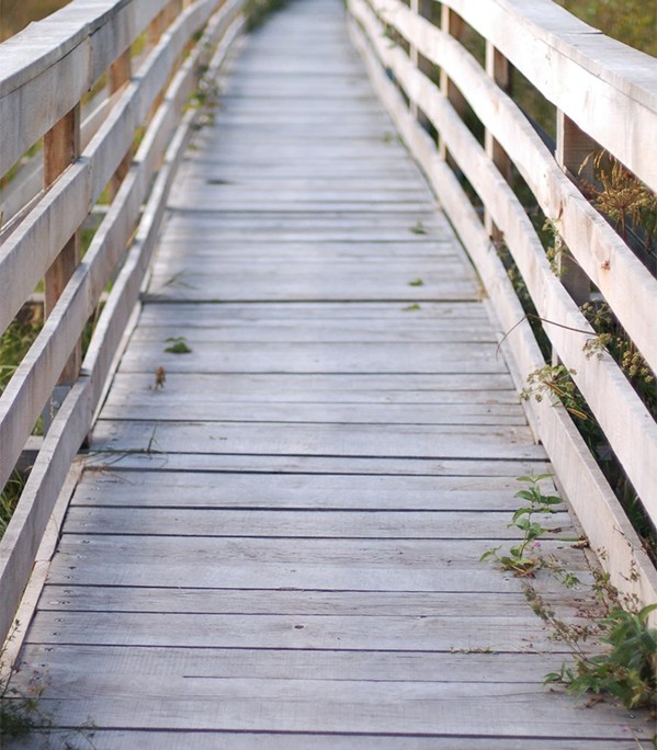 Drewniany mostek jest nieodzownym elementem romantycznego ogrodu.