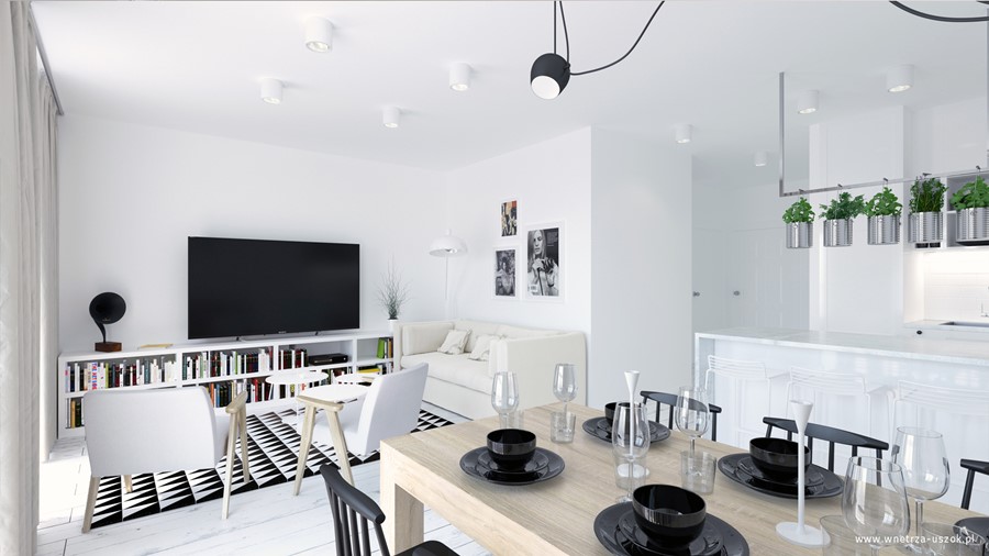 Salon z małą kuchnią w bieli 1