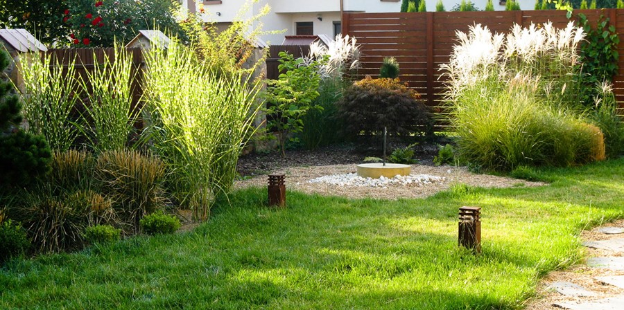 Trawy w nowoczesnym ogrodzie Jakub Gardner