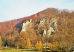 Widok z domu położonego w ogrodzie, który "zachowuje się" jak zwierciadło