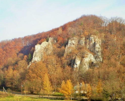 Widok z domu położonego w ogrodzie, który "zachowuje się" jak zwierciadło