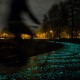 Fluorescencyjna ścieżka rowerowa Van Gogh Path Studio Roosegaarde