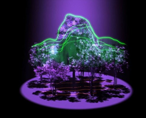 trójwymiarowy obraz drzew uzyskany dzięki systemowi G-LiHT opracowanemu w centrum Goddard'a / NASA