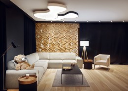 Salon z drewnianą mozaiką Sikora Wnętrza