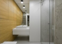 Drewno i beton w łazience Hola Design
