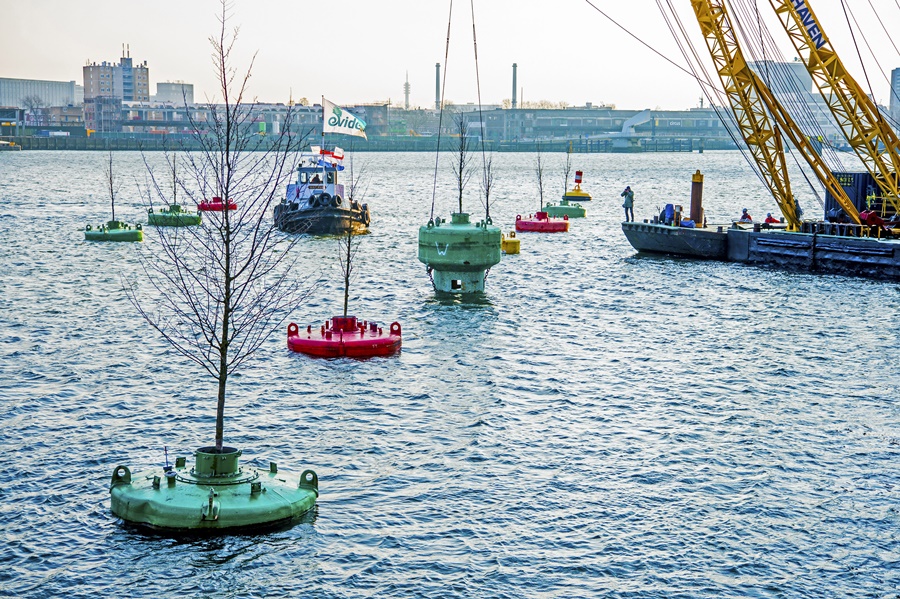 eko miasto - wodowanie "Pływającego Lasu" w Rotterdamie