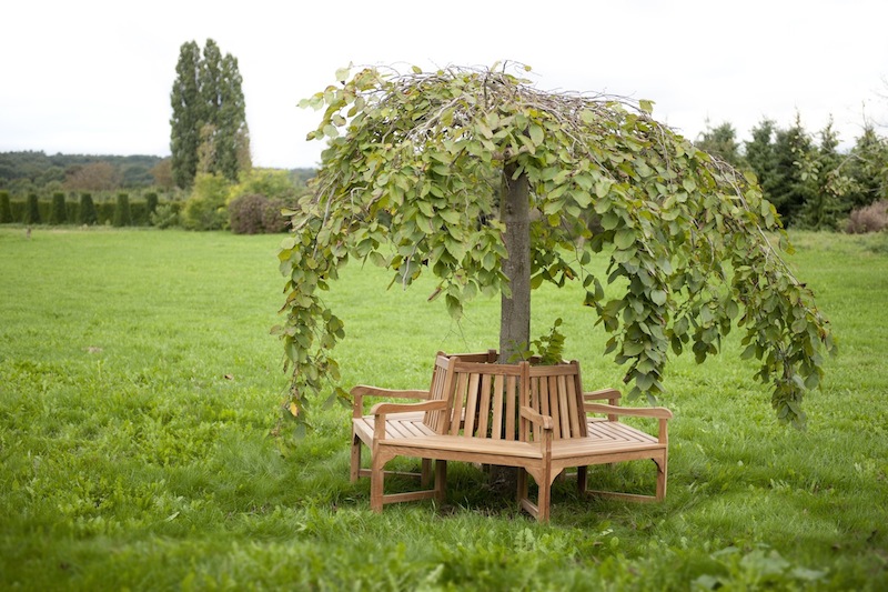 Okrągła ławka ogrodowa - drewniana ławka okalająca drzewo