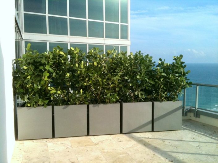 CUBE1 Donica ogrodowa Geo Cube S 38 L 38 W 38h Capital Garden Donica ogrodowa Geo Cube S 38 L 38 W 38h Capital Garden