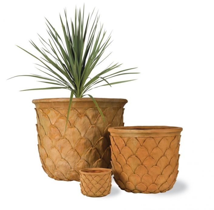 PINE1