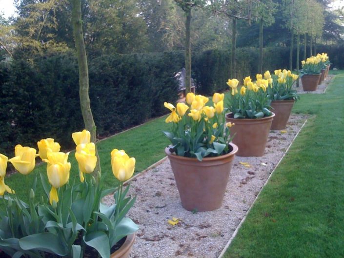 Klasyczna donica ogrodowa Plain Planter