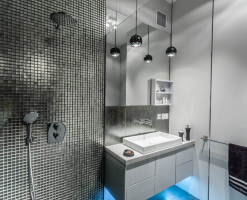 Srebrna łazienka z prysznicem - Loft Factory