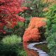 Japońskie ogrody inspiracje