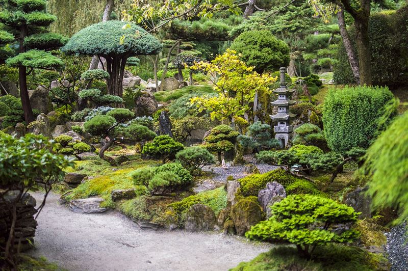 Japońskie ogrody bonsai