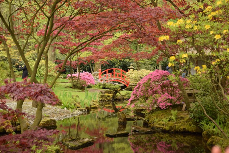 Ogród japoński w Hadze