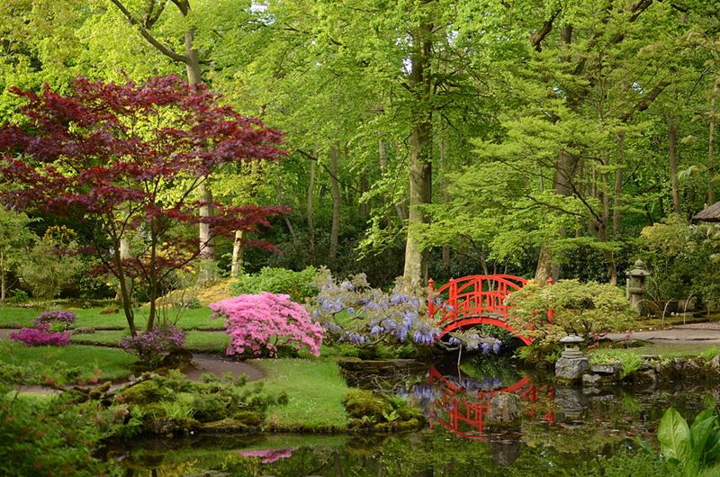 Ogród japoński w Hadze, autor Steven Lek