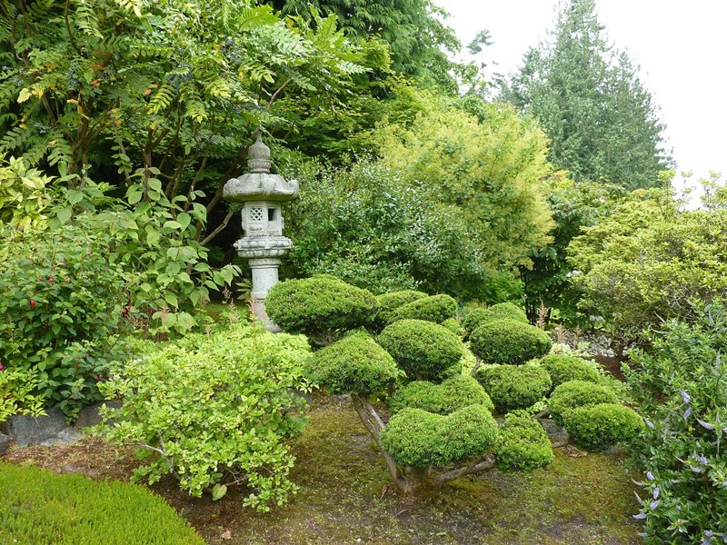 Orientalne motywy w ogrodzie