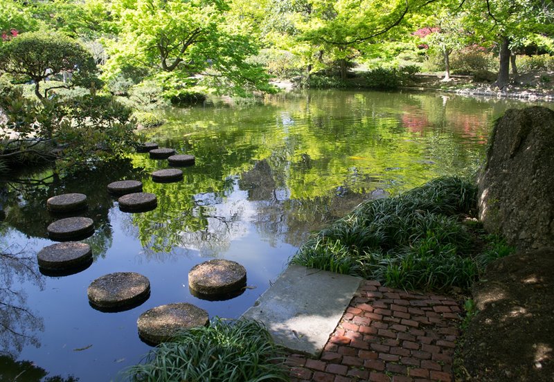 Orientalny ogród z motywem wody