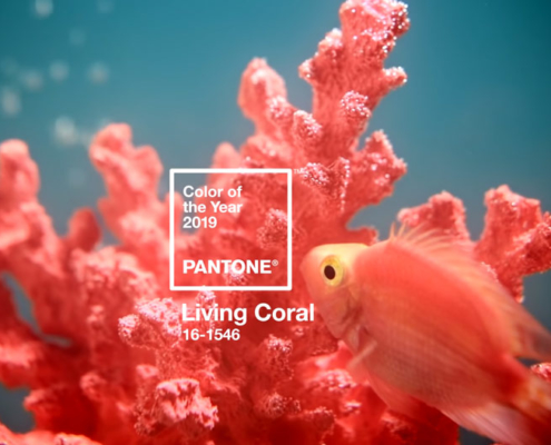 Kolor roku 2019 Pantone - Living Coral