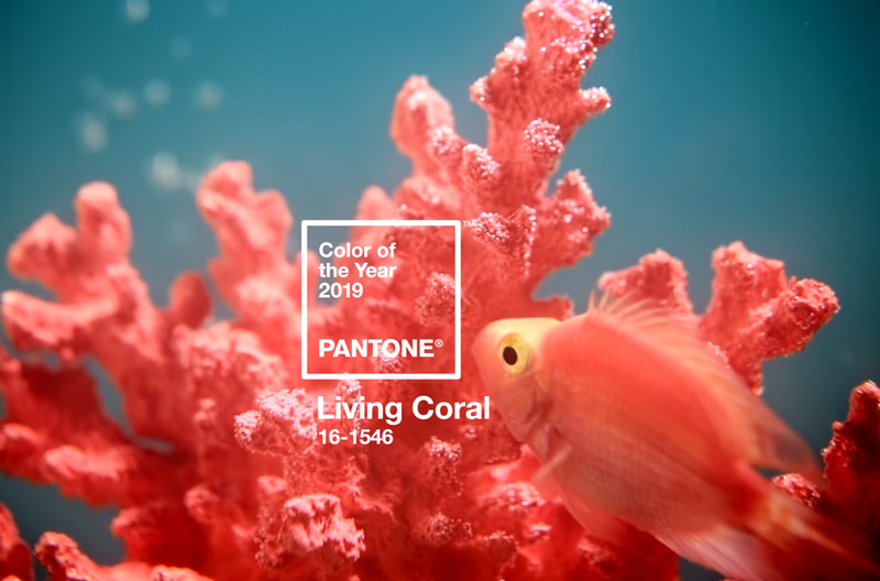 Kolor roku 2019 Pantone - Living Coral